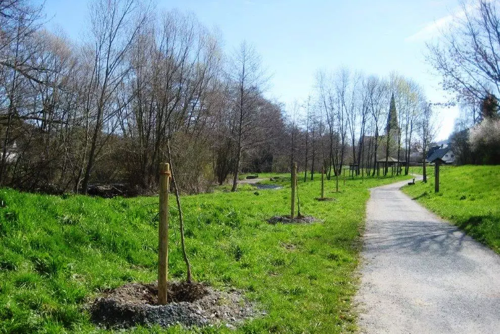 Ruhraue: 29 Obstbäume zerstört – 10.000 Euro Sachschaden