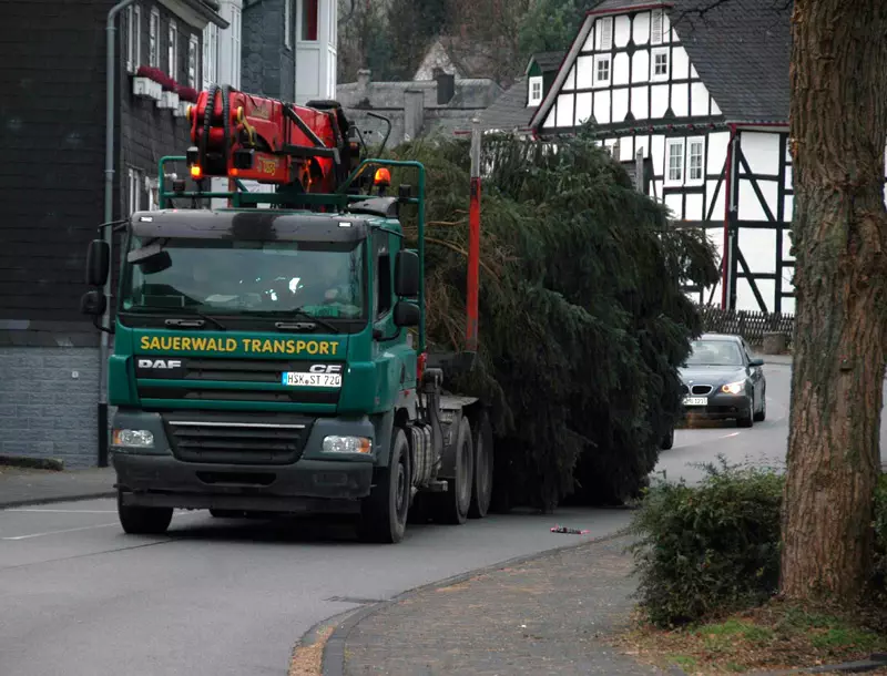 Dorfgemeinschaft Bigge stellt Weihnachtsbaum auf