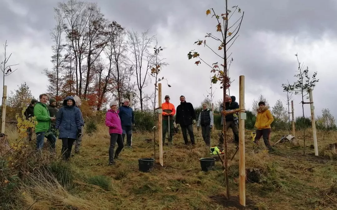 Neuer Bürgerwald: Erste Bäume am Matzenknapp gepflanzt