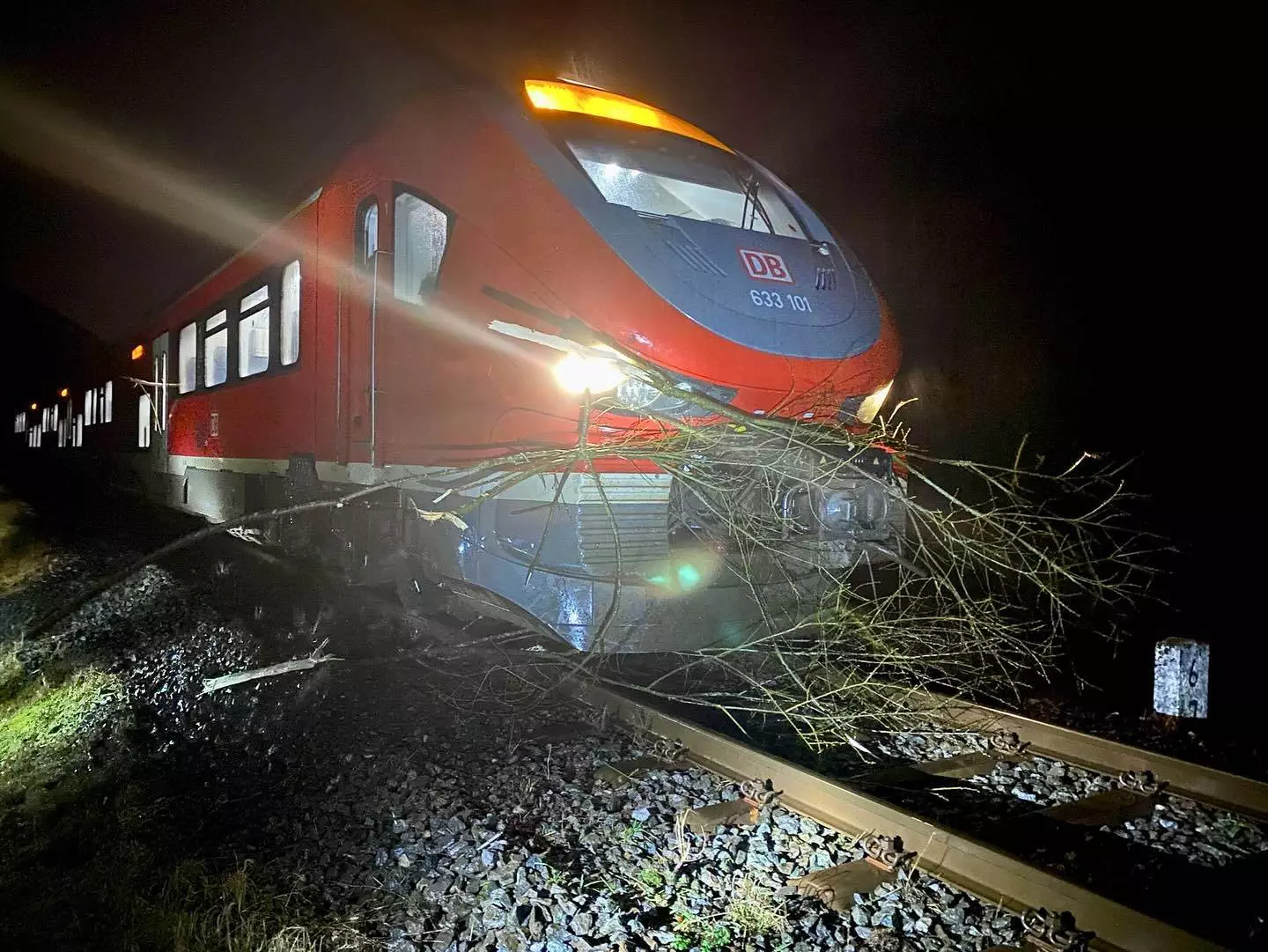 Ein Zug hatte eine auf die Schienen gestürzte Baumkrone überfahren. Foto: Löschzug Bigge-Olsberg