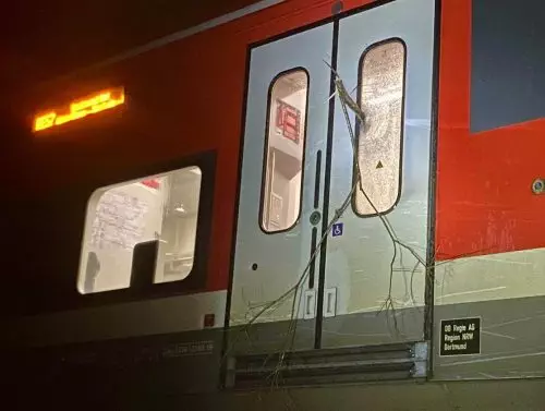 Ein Ast hatte eine Zugtür durchschlagen. Foto: Löschzug Bigge-Olsberg