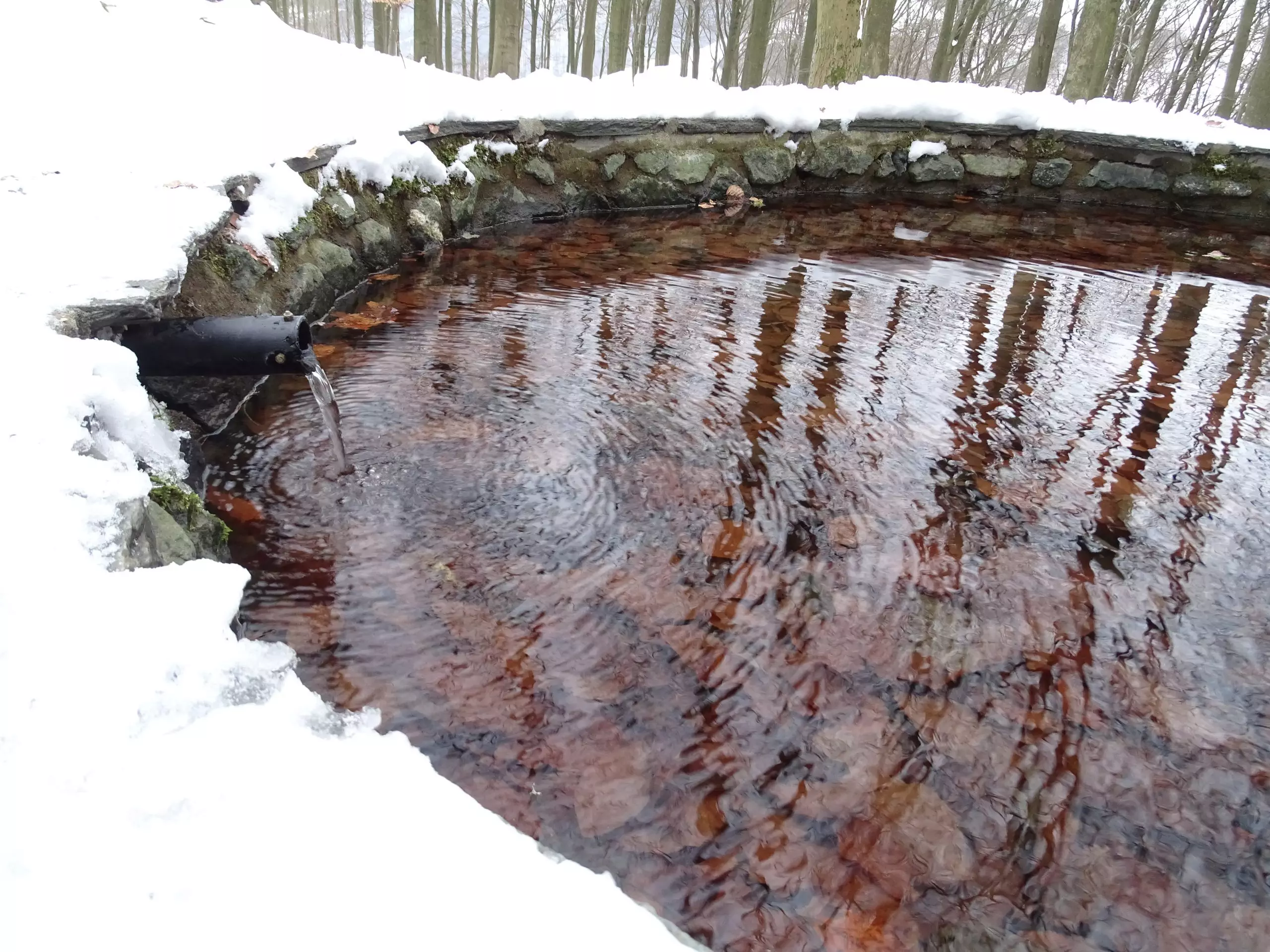 Die Luisenquelle im Schnee im Januar 2023. Foto: bigge-online