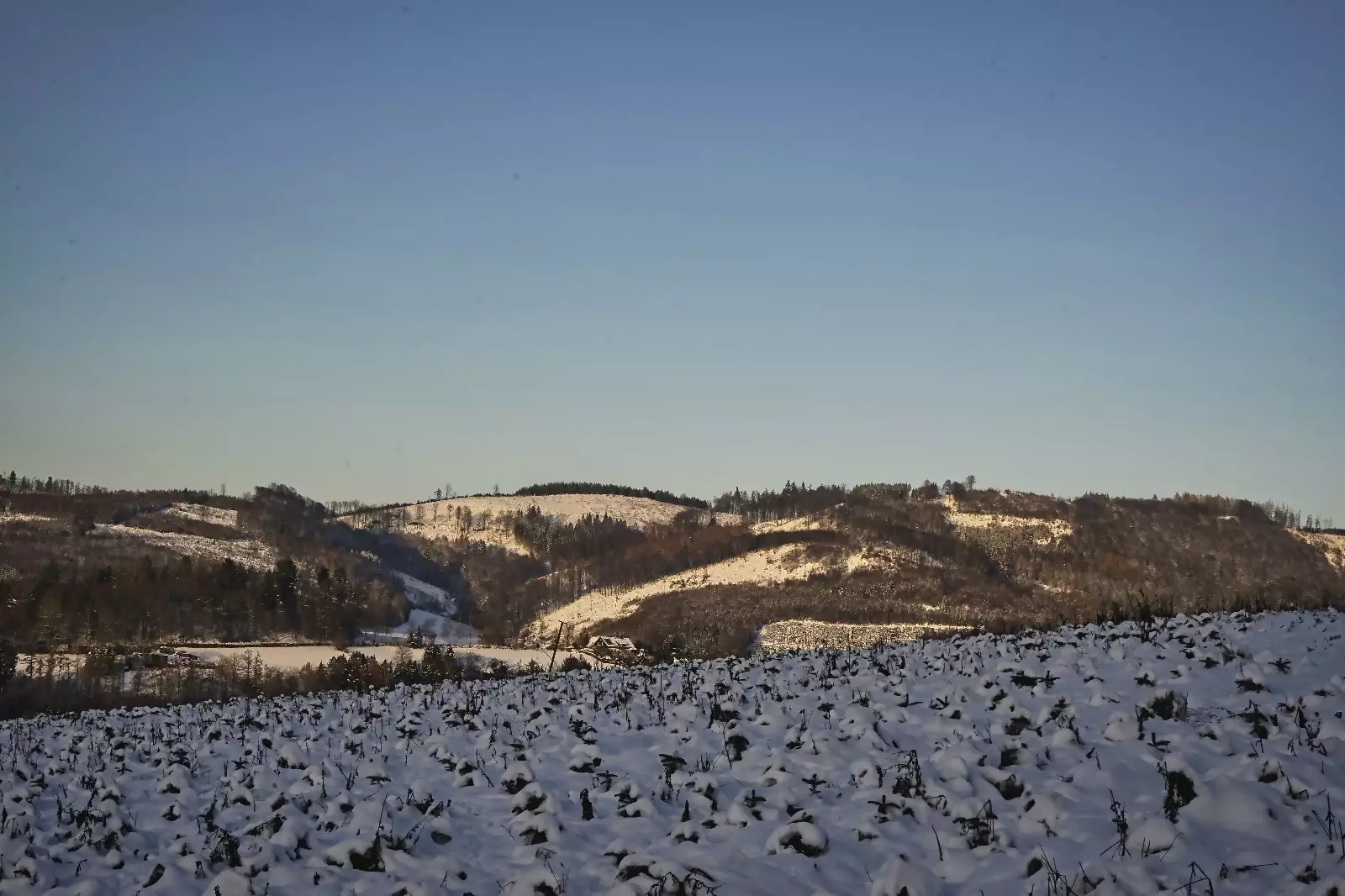 Schneelandschaft, fotografiert und eingereicht von Just.