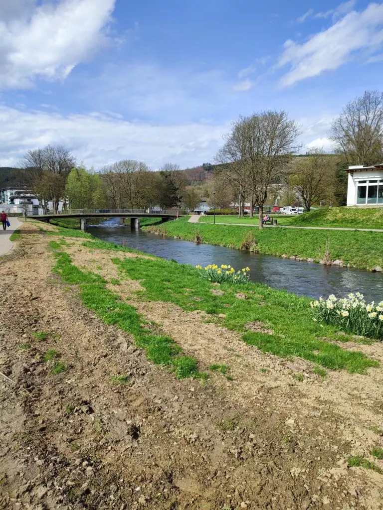 Blick in den Kurpark am Sonntag, 7. April 2024. Die Weiden entlang der Ruhr stehen nicht mehr. Foto: bigge-online