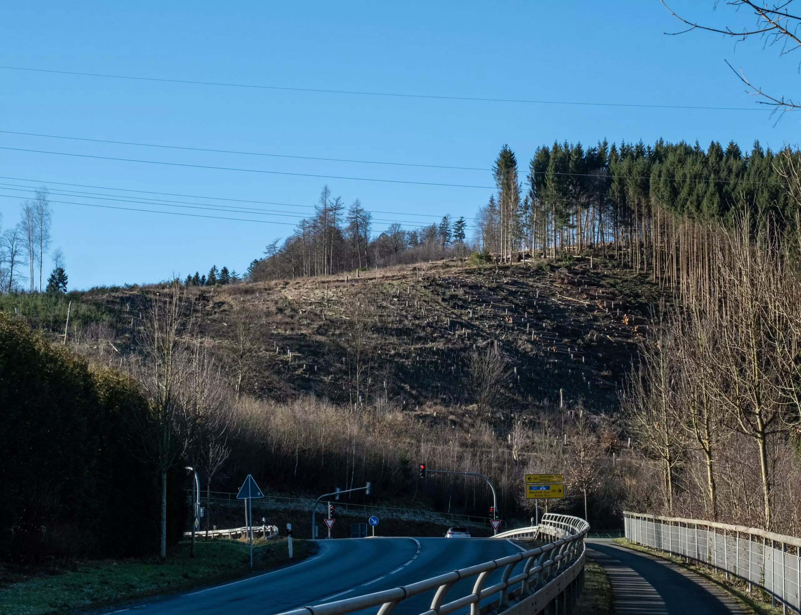 Den Blick auf den Losenberg (fast) ohne Bäume findet Carsten Fröhlink erhaltenswert. Er hat das Foto am Bigger Ortsausgang gemacht.