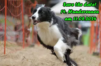 Wer hat den schnellsten Hund im Sauerland? – Hunderennen am 11.05.24