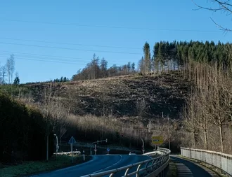 Den Blick auf den Losenberg (fast) ohne Bäume findet Carsten Fröhlink erhaltenswert. Er hat das Foto am Bigger Ortsausgang gemacht.